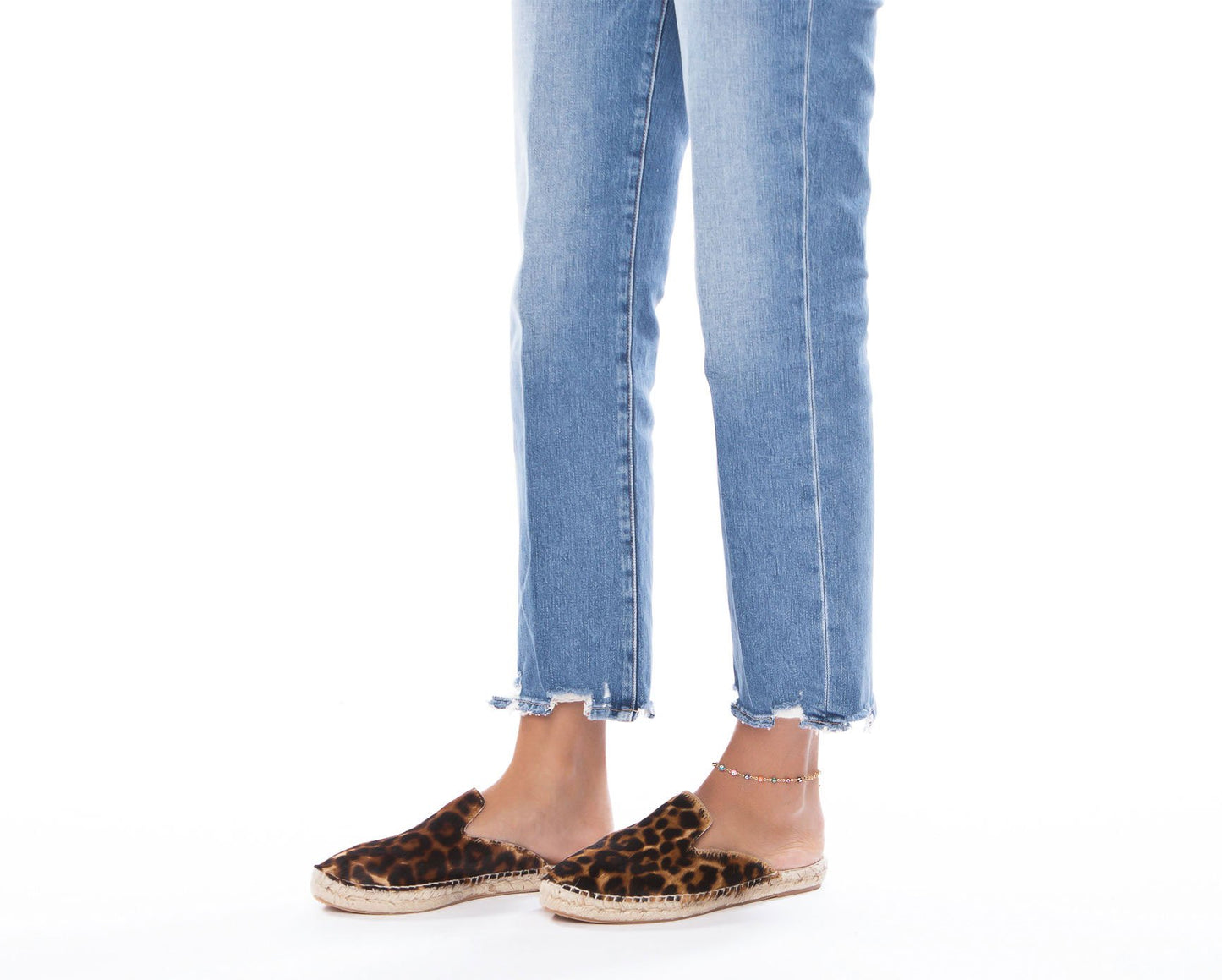 Mules - Dakota - Leo