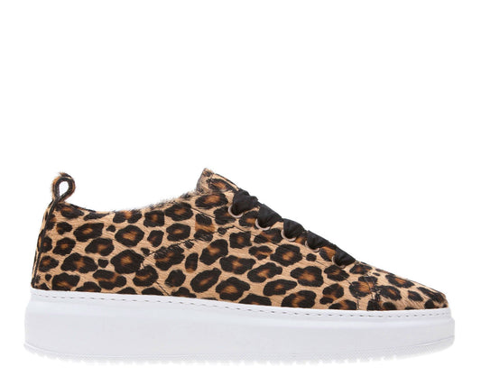 Sneakers - Dakota - Little Leo Tricolor